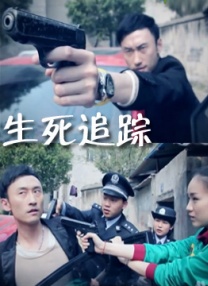 视频h